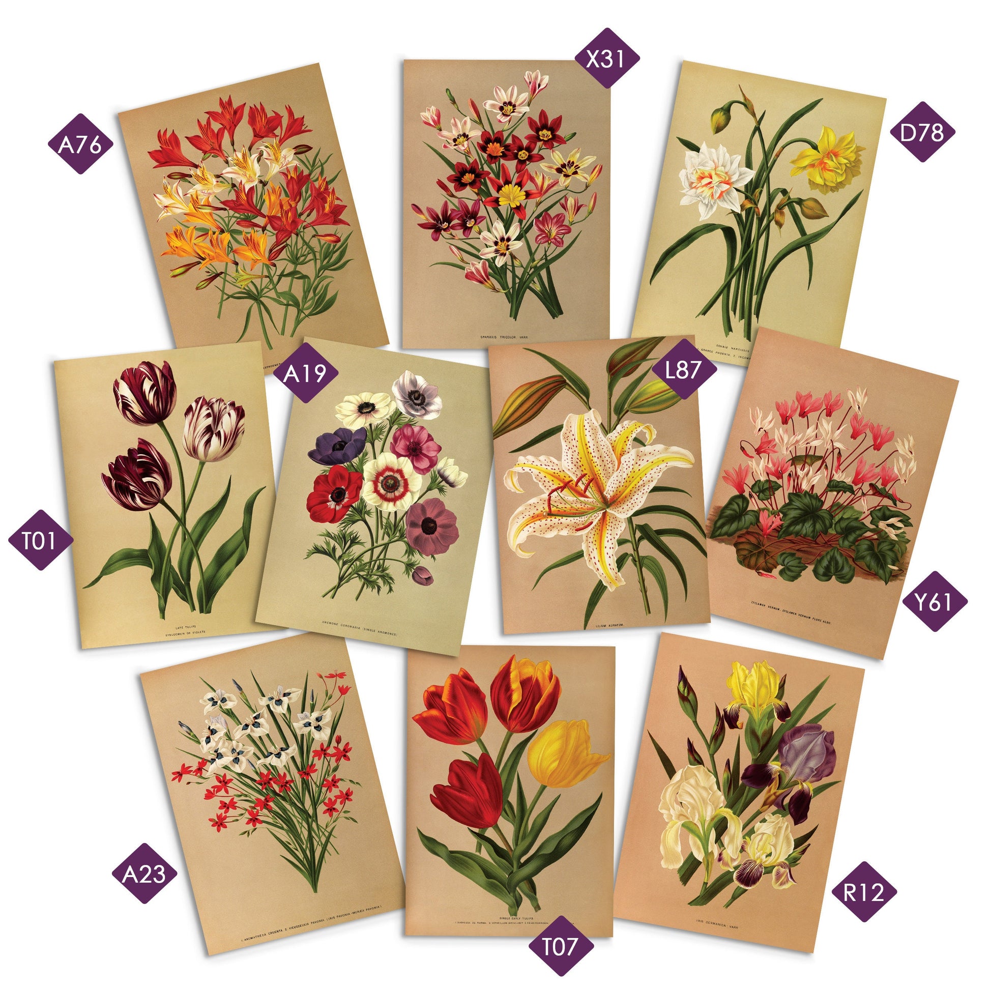 Greeting Cards Mix & Match Bundle - Card Set of 5 10 Happy Birthday Christmas Vintage Wedding Any Occasion Japanese Kawaii Cute Mix Pack
