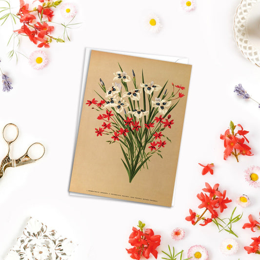 Tiger Iris & Freesia Antique Botanical Greeting Card Birthday Floral Art with Envelope Valentines Flowers Vintage Victorian Beautiful - A23