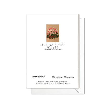 Cyclamen Antique Botanical Greeting Card Birthday Floral Art with Envelope Valentines Flowers Vintage Primula Victorian Beautiful Pretty Y61