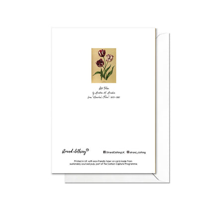 Tulips Antique Botanical Greeting Card Birthday Floral Art with Envelope Valentines Flowers Vintage Purple Victorian Beautiful Pretty - T01