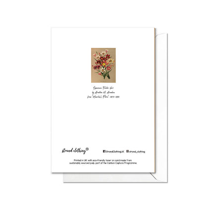 Sparaxis Star Flower Antique Botanical Greeting Card Birthday Floral Art with Envelope Valentines Vintage Victorian Beautiful Pretty - X31