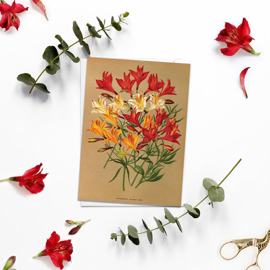Lilies Antique Botanical Greeting Card Birthday Floral Art with Envelope Alstroemeria Chilensis Flowers Vintage Victorian Beautiful - A76
