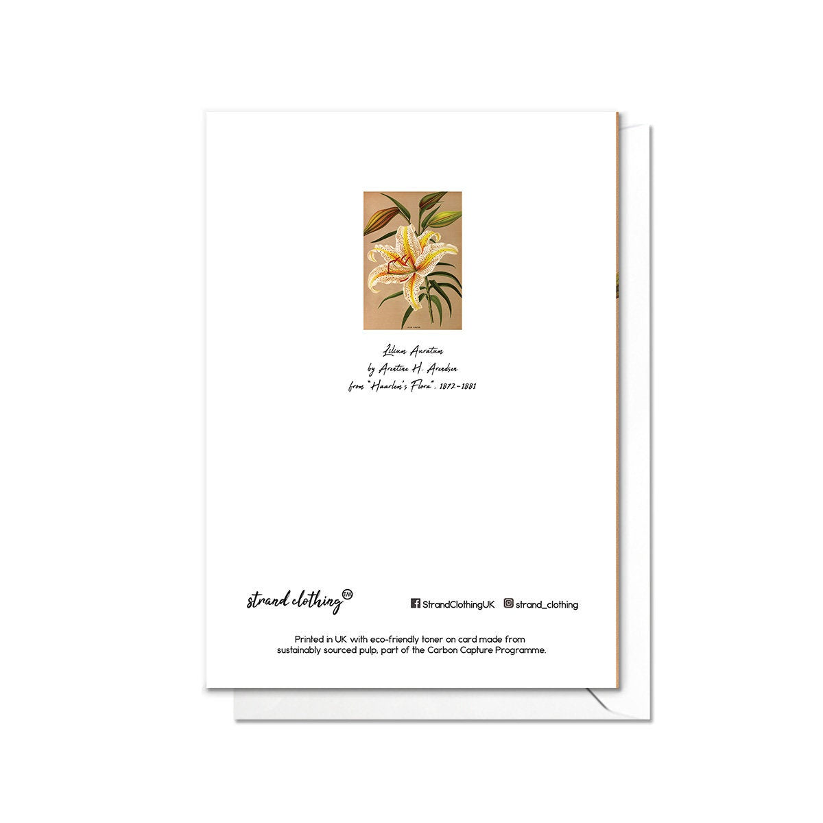 Mountain Lily Antique Botanical Greeting Card Birthday Floral Art with Envelope Valentines Flowers Lilies Vintage Victorian Beautiful - L87