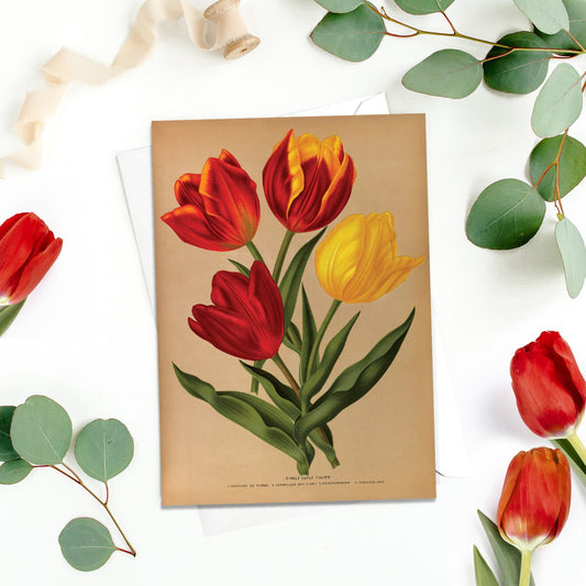 Tulips Antique Botanical Greeting Card Birthday Floral Art with Envelope Valentines Flowers Red Yellow Tulip Vintage Victorian Beautiful T07