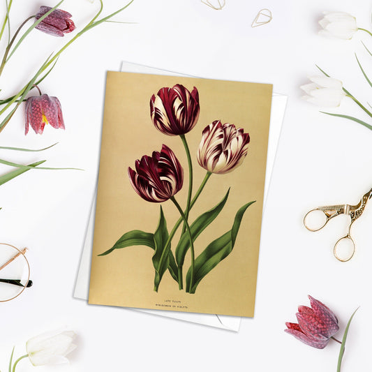 Tulips Antique Botanical Greeting Card Birthday Floral Art with Envelope Valentines Flowers Vintage Purple Victorian Beautiful Pretty - T01
