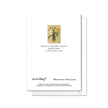 Daffodil Narcissus Antique Botanical Greeting Card Birthday Floral Art with Envelope Valentines Flowers Vintage Victorian Beautiful - D78