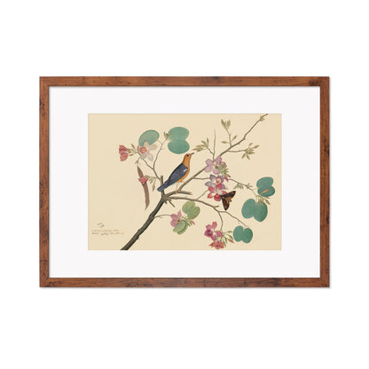 Framed Mounted Indian Jujube Tree Art Vintage Print Poster Antique Sheikh Zain al-Din Painting Nature Birds Butterflies Georgian Victorian