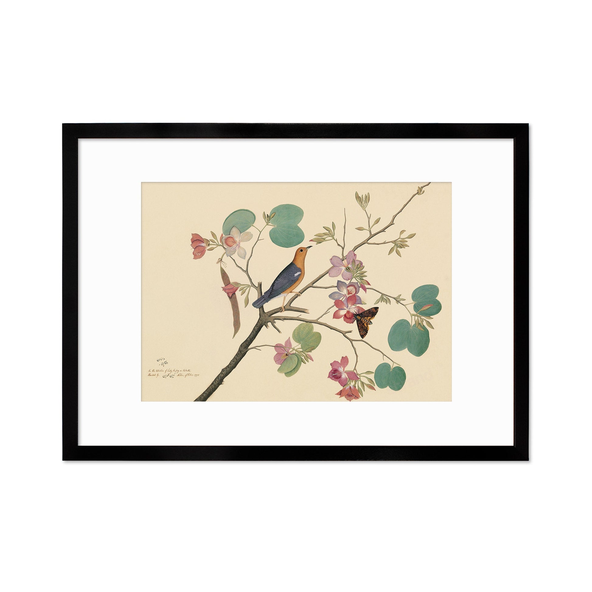 Framed Mounted Indian Jujube Tree Art Vintage Print Poster Antique Sheikh Zain al-Din Painting Nature Birds Butterflies Georgian Victorian