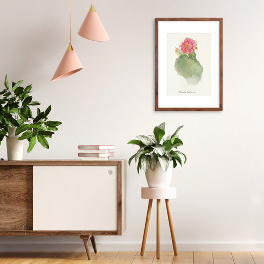 Framed Mounted Antique Botanical Art Print Poster Wall Flowers Floral Cactus Cacti Succulents Nature Leaf Plant Illustration Edwardian A2