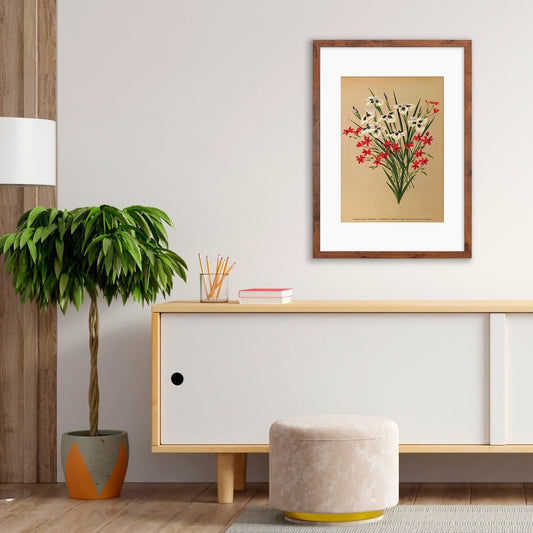 Irises Grasses Framed Art Mounted Wall Decor Print Poster Botanical Antique Vintage Victorian Illustration Nature Beautiful Flowers Bunch